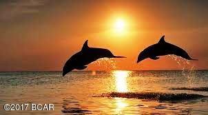 Laguna Beach Ammended - Residential