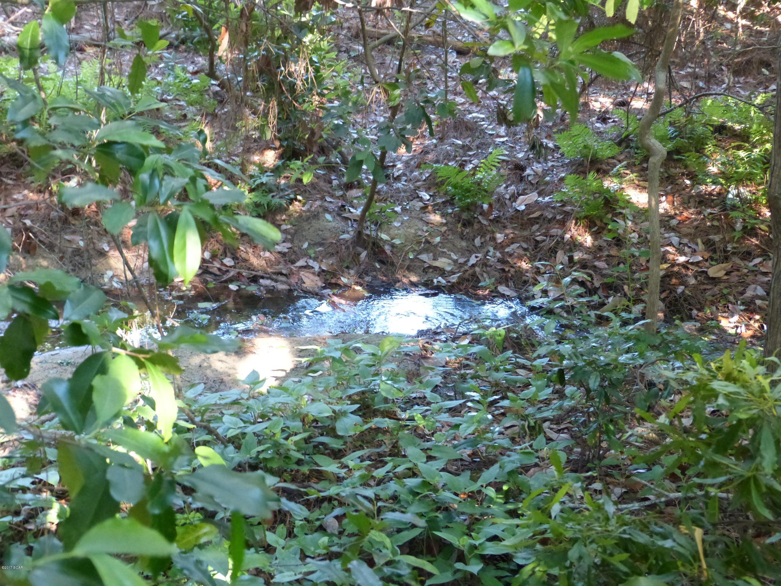 Laguna Beach Ammended - Residential