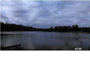 Grassy Pond Ranch - Land