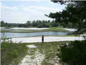 Grassy Pond Ranch - Land