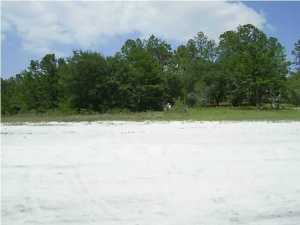 Grassy Pond Ranch - Land