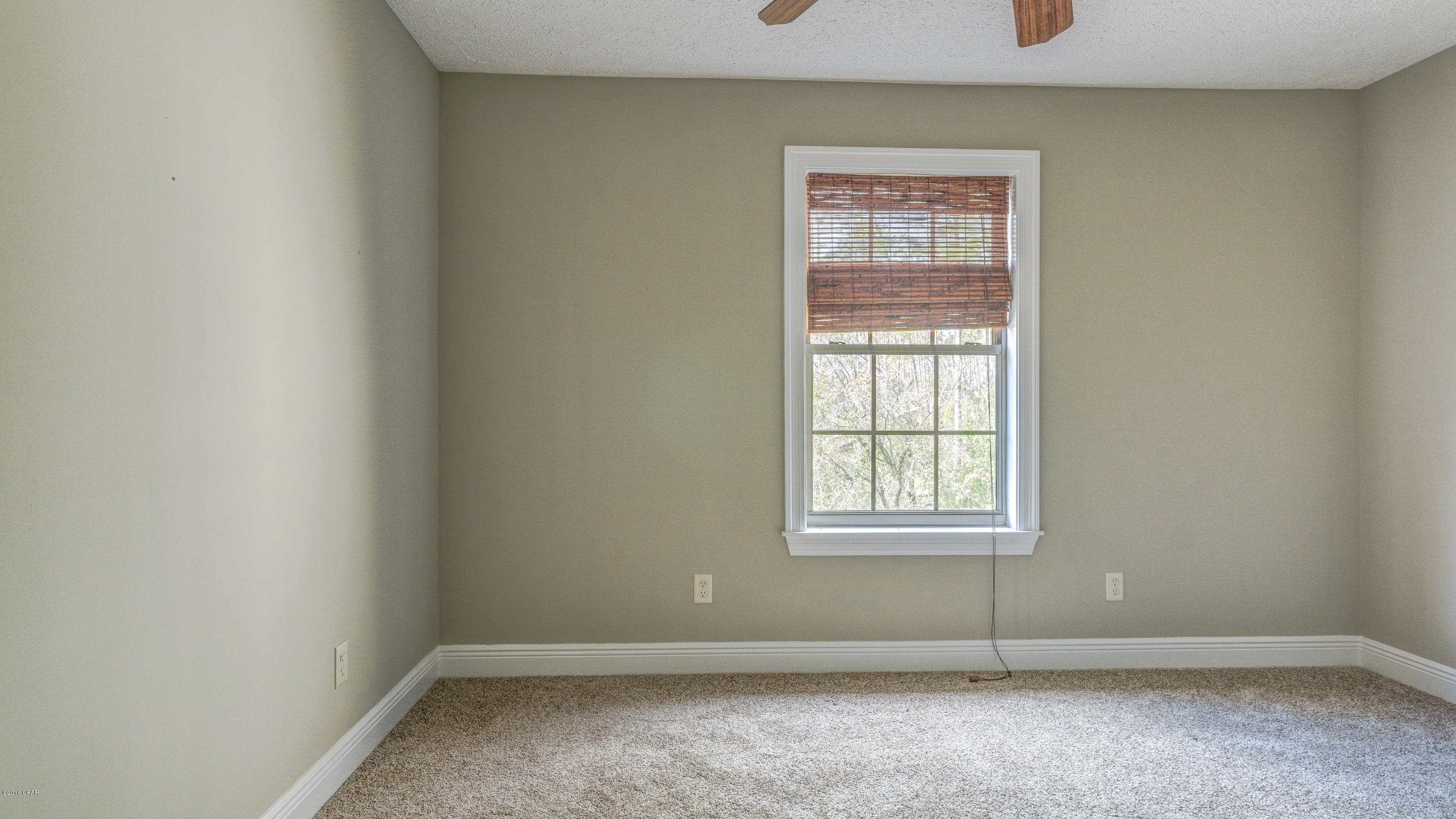 Palmetto Ridge - Residential