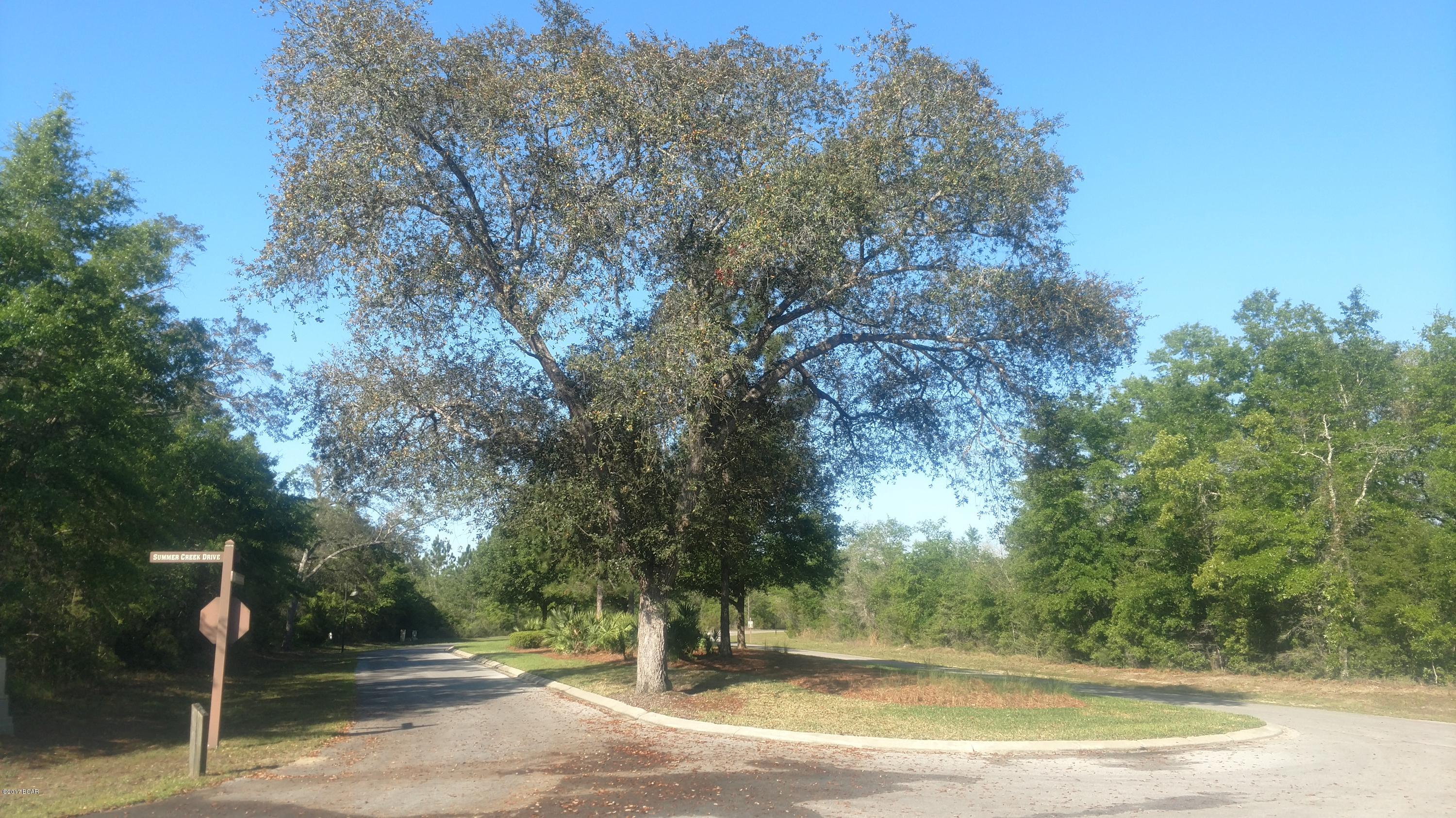 Cedar Creek Ph II - Land