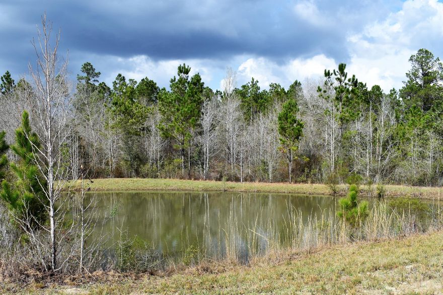 Looking for a large parcel with seclusion and privacy in a great location with wildlife all around?  Look no further.  This 40 acre parcel would make a wonderful home site and is located in a highly desirable area of Washington County.  Access this very nice property through a deeded access entrance through 2 gates with fencing on each side of gate. As you enter into the property through the 2nd gate, you will drive between two very nice spring fed fish ponds and witness deer tracks everywhere.  There are some nice oaks on the property and approximately 7-10 acres have been cleared with the remaining acreage wooded. Copy of survey is available.