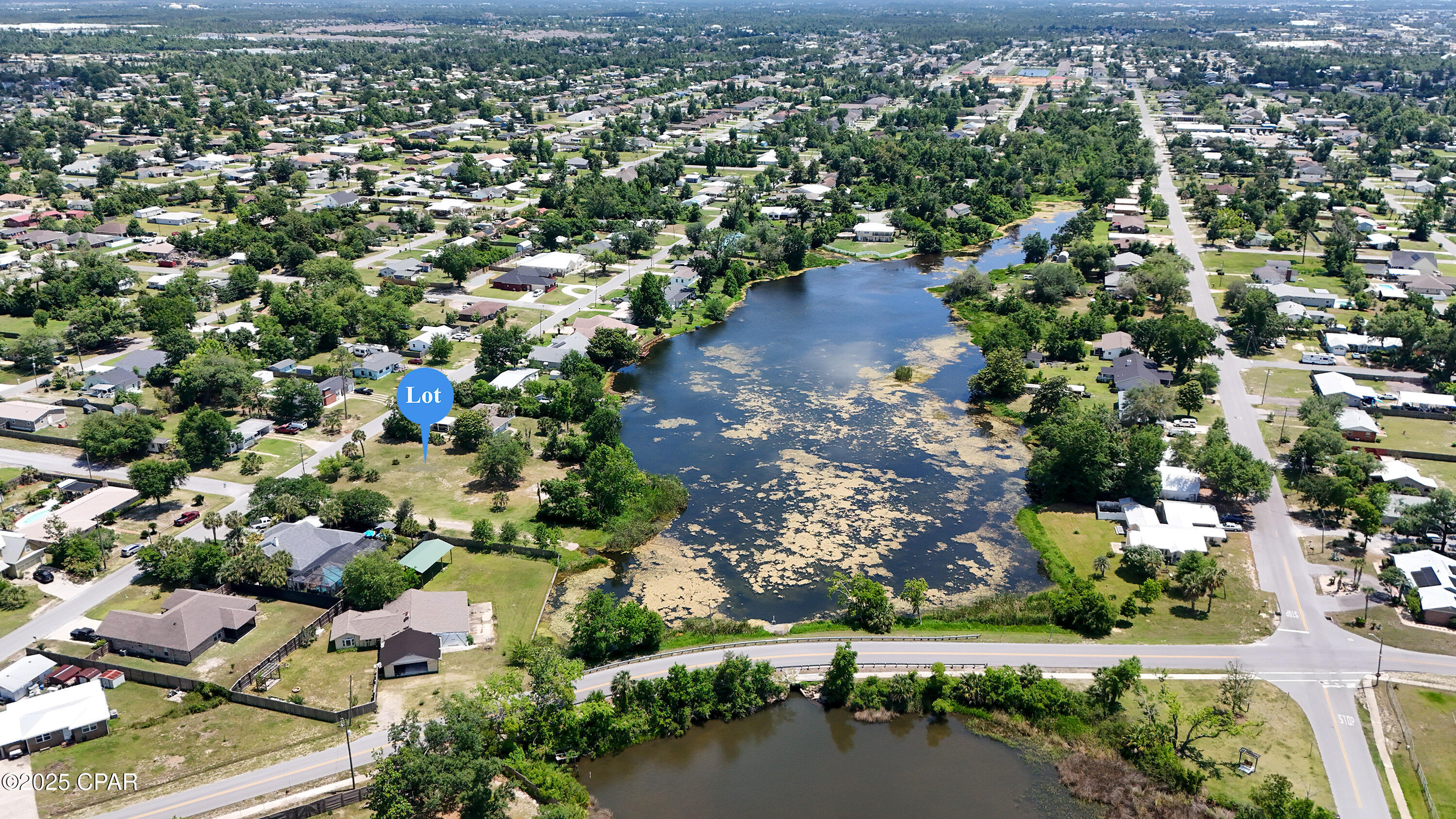 Alexander At Palm Court - Land
