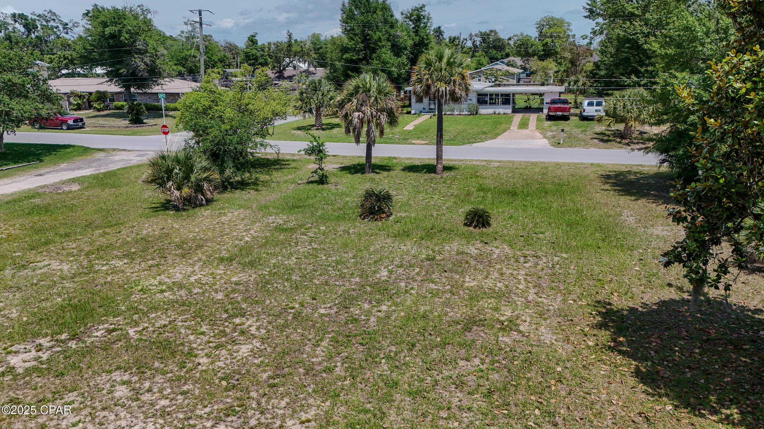 Alexander At Palm Court - Land