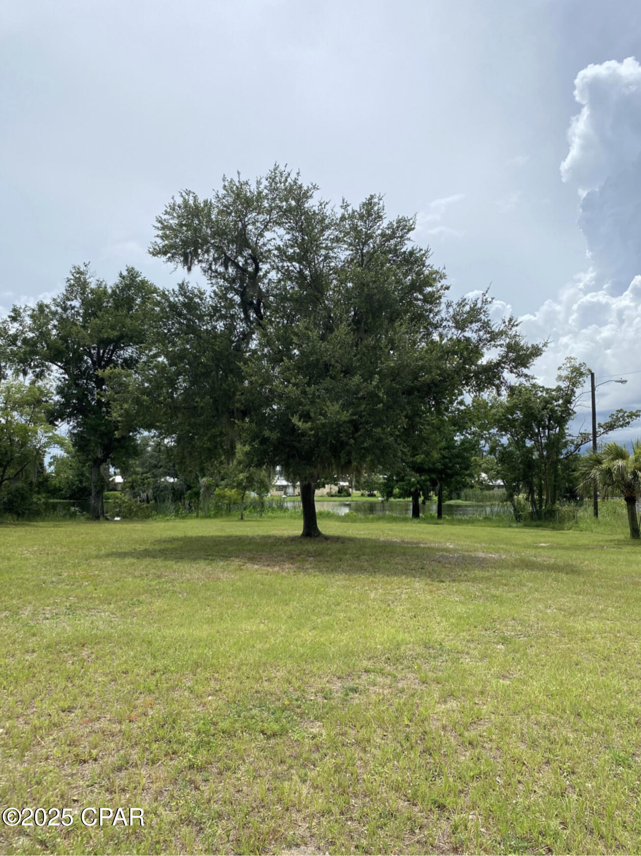 Alexander At Palm Court - Land