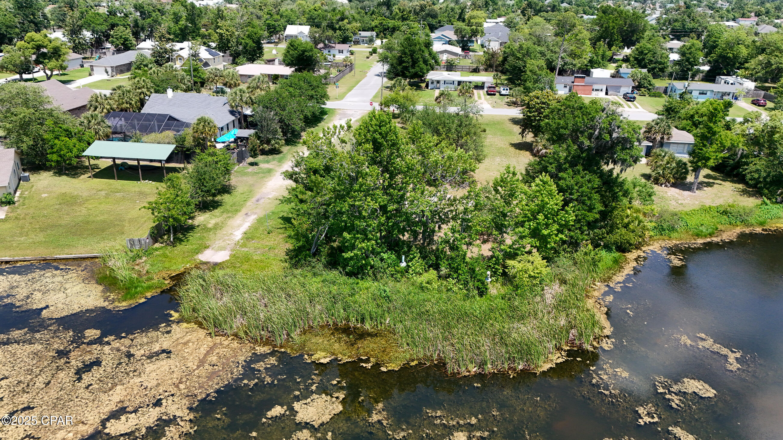 Alexander At Palm Court - Land