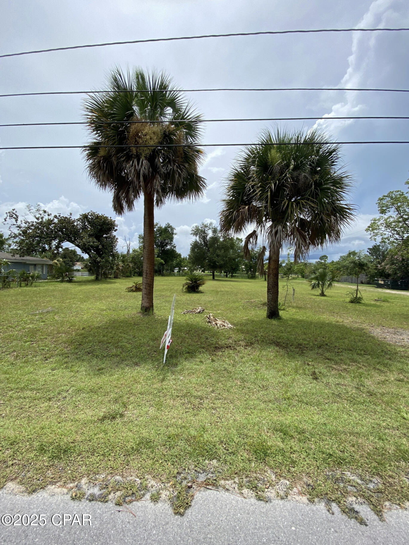 Alexander At Palm Court - Land