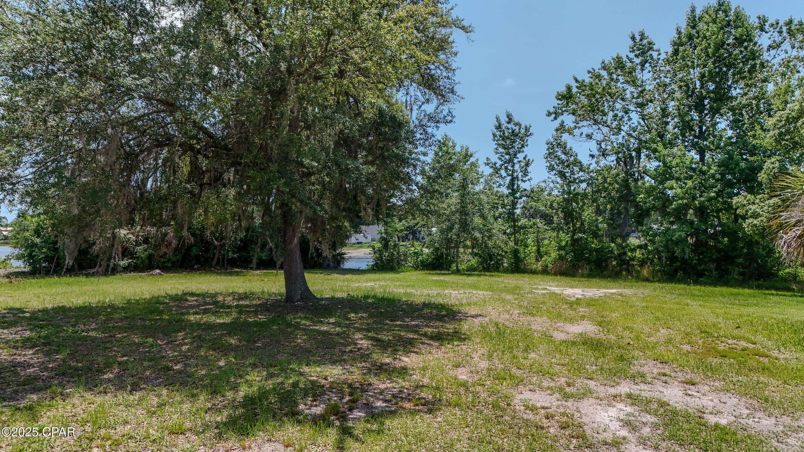 Alexander At Palm Court - Land