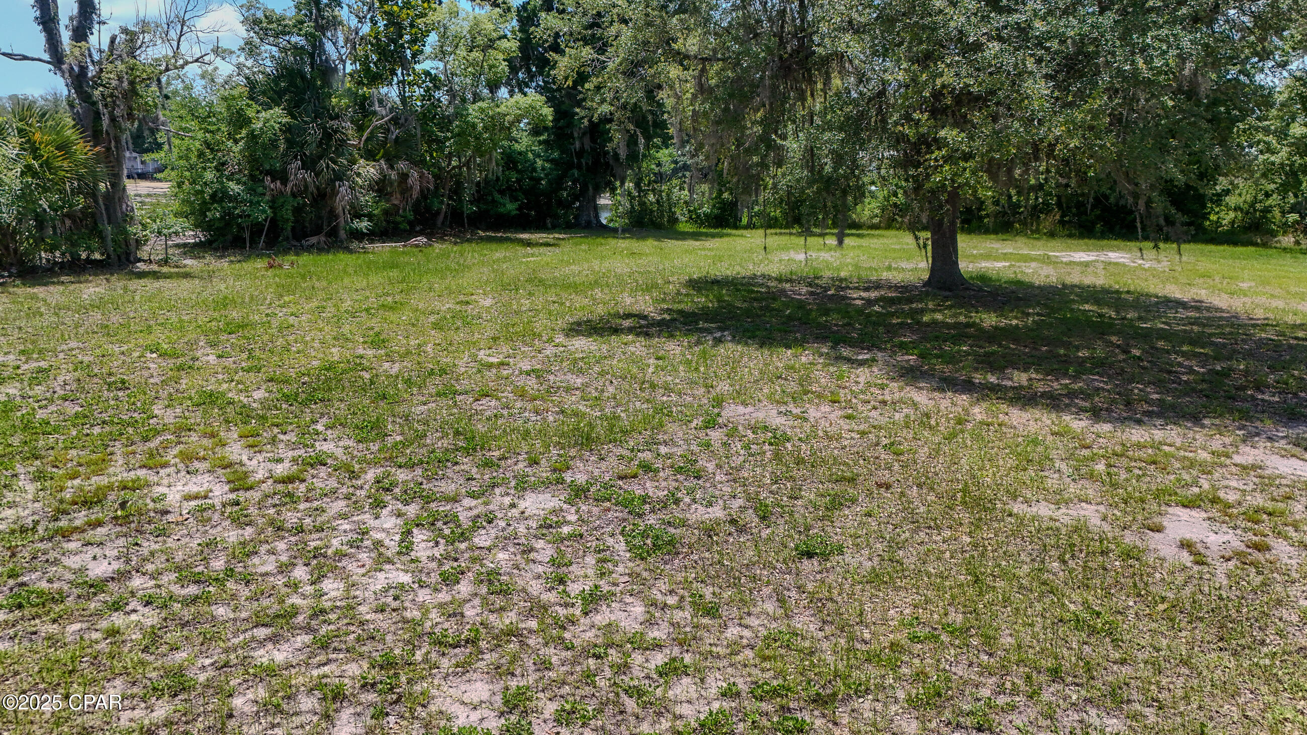 Alexander At Palm Court - Land