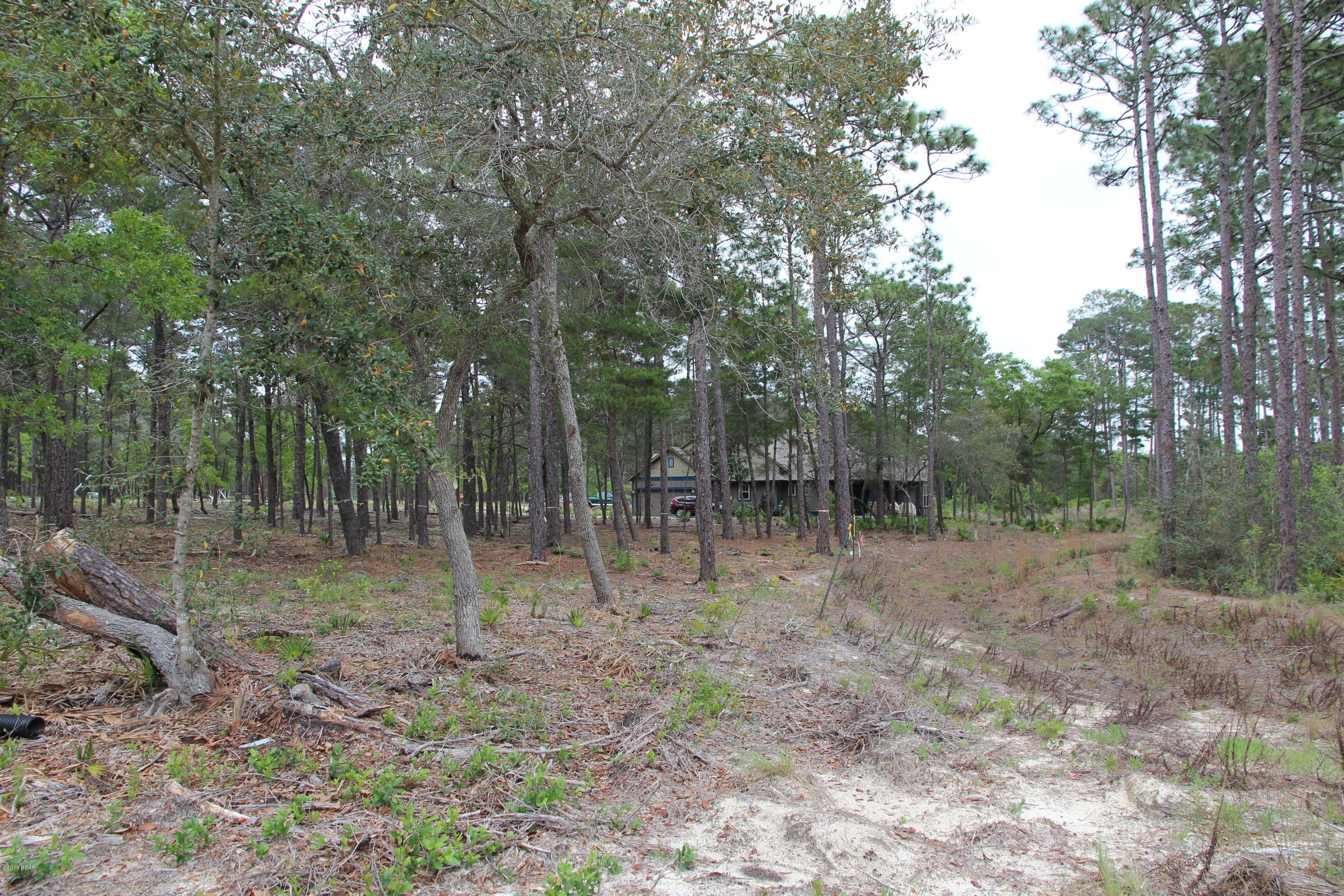 Wild Heron Phase X - Land