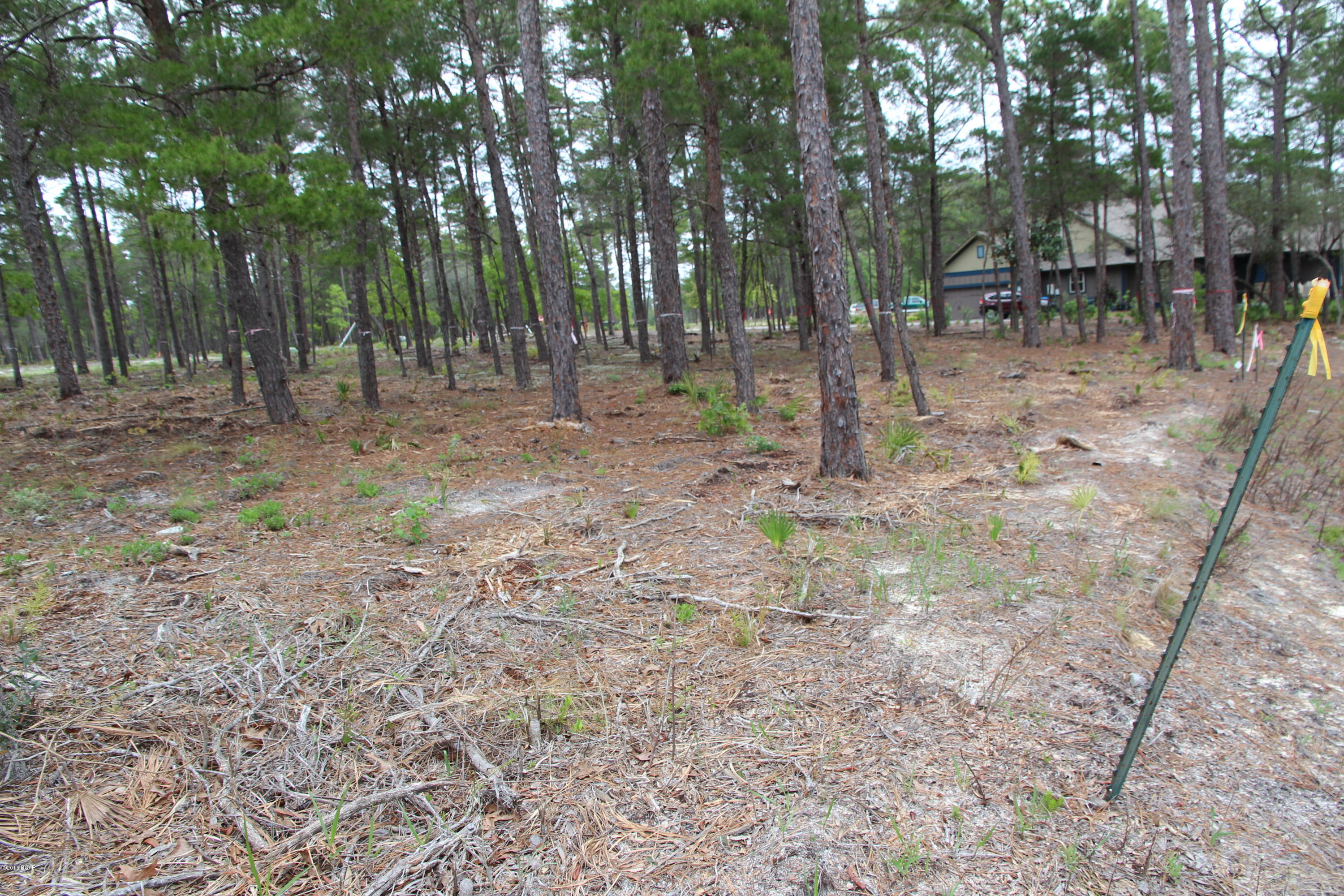 Wild Heron Phase X - Land