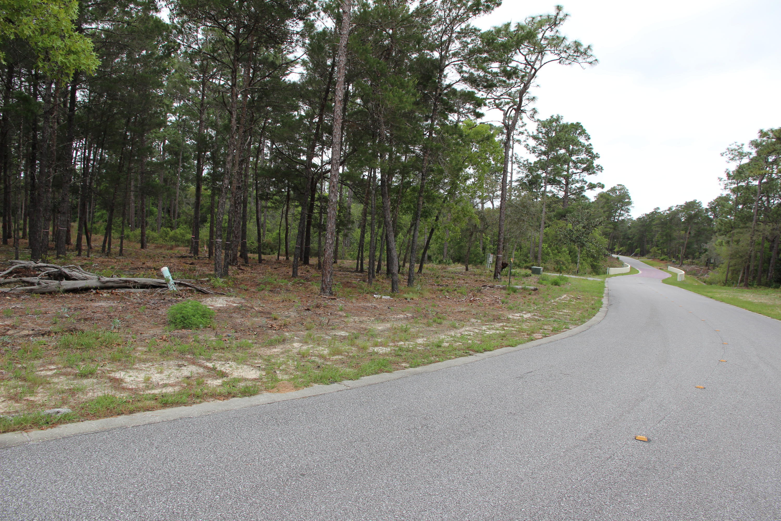 Wild Heron Phase X - Land