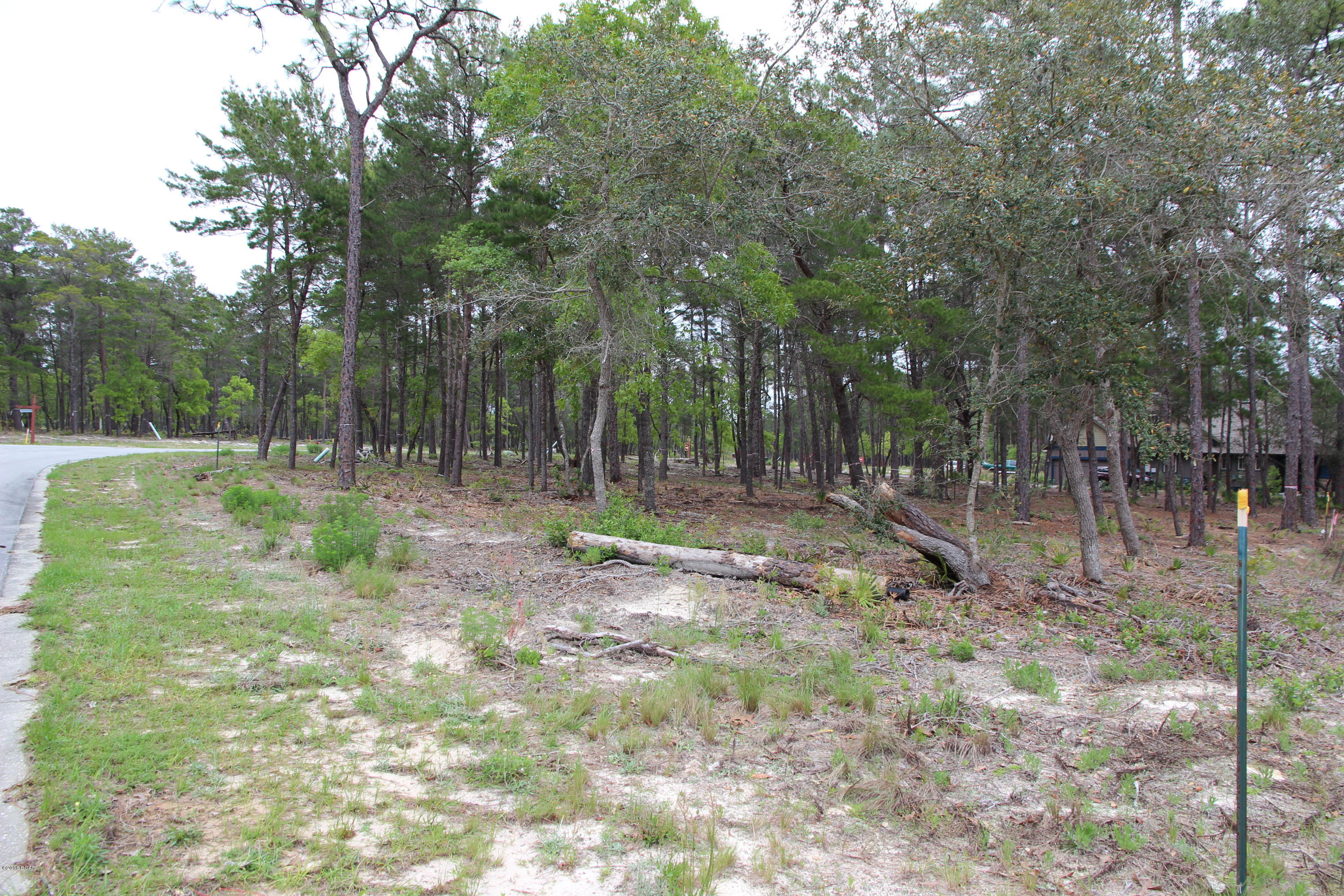 Wild Heron Phase X - Land