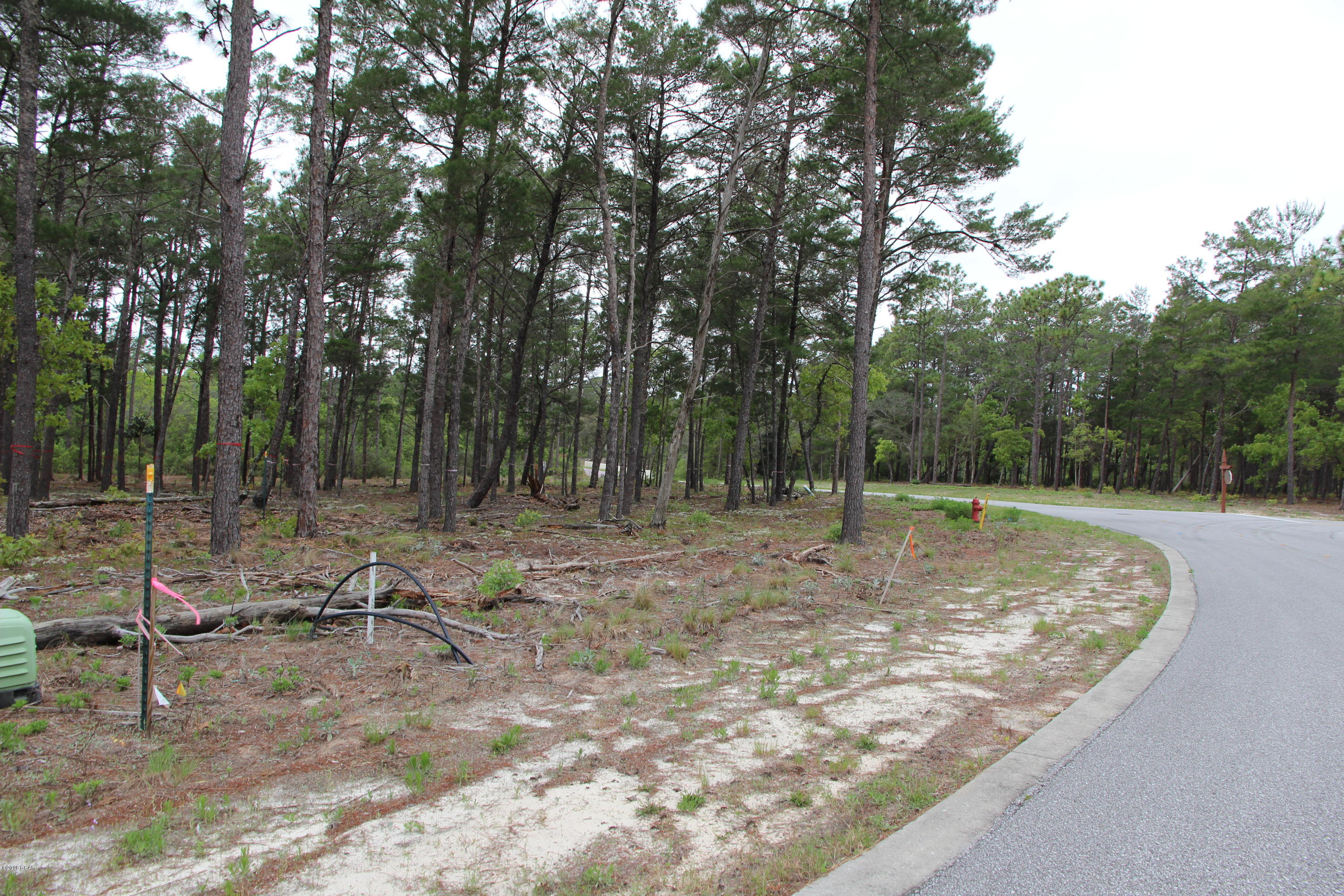 Wild Heron Phase X - Land