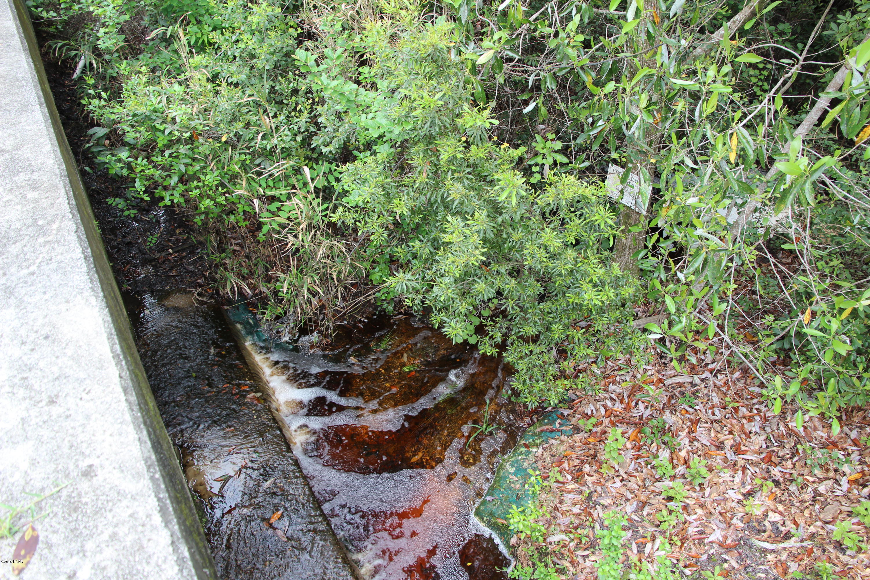 Wild Heron Phase X - Land