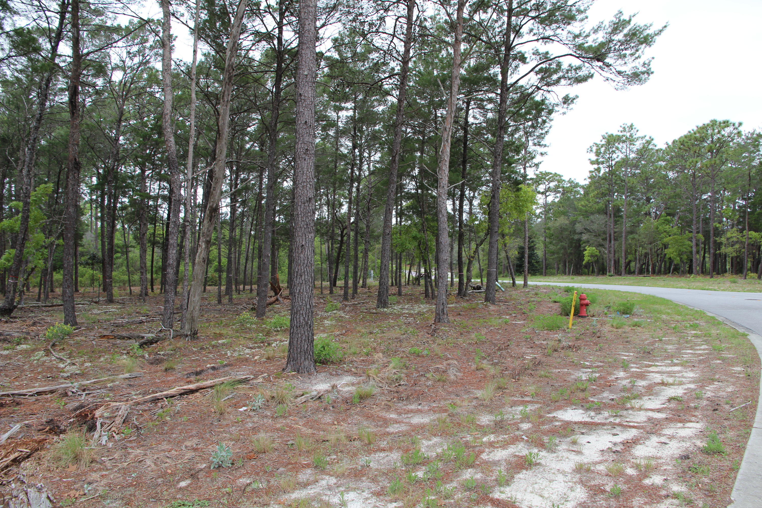 Wild Heron Phase X - Land