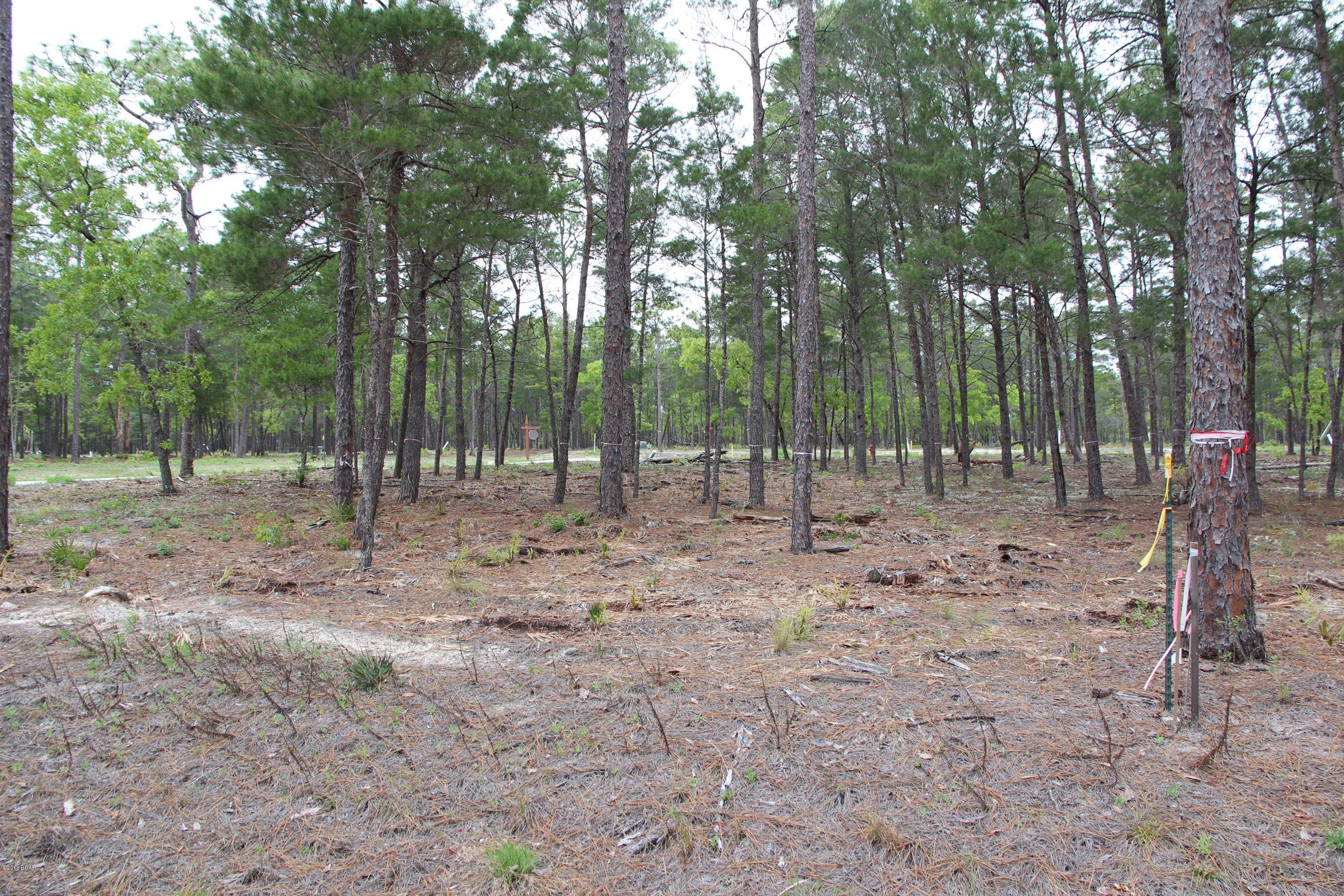 Wild Heron Phase X - Land