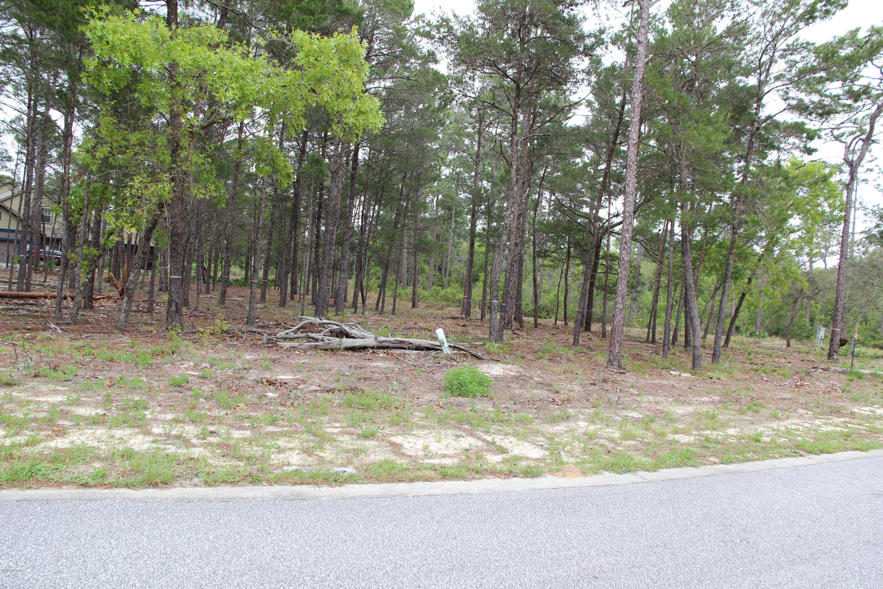 Wild Heron Phase X - Land