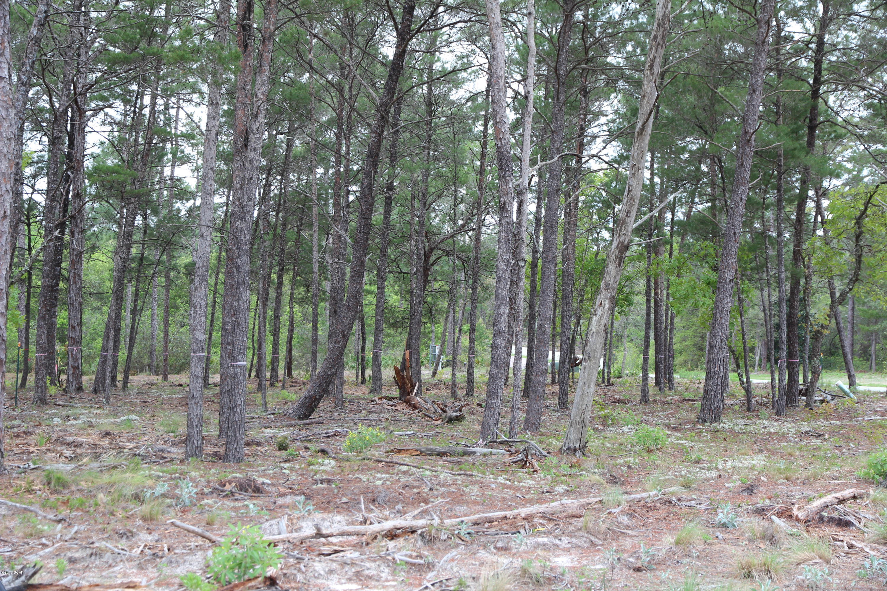 Wild Heron Phase X - Land