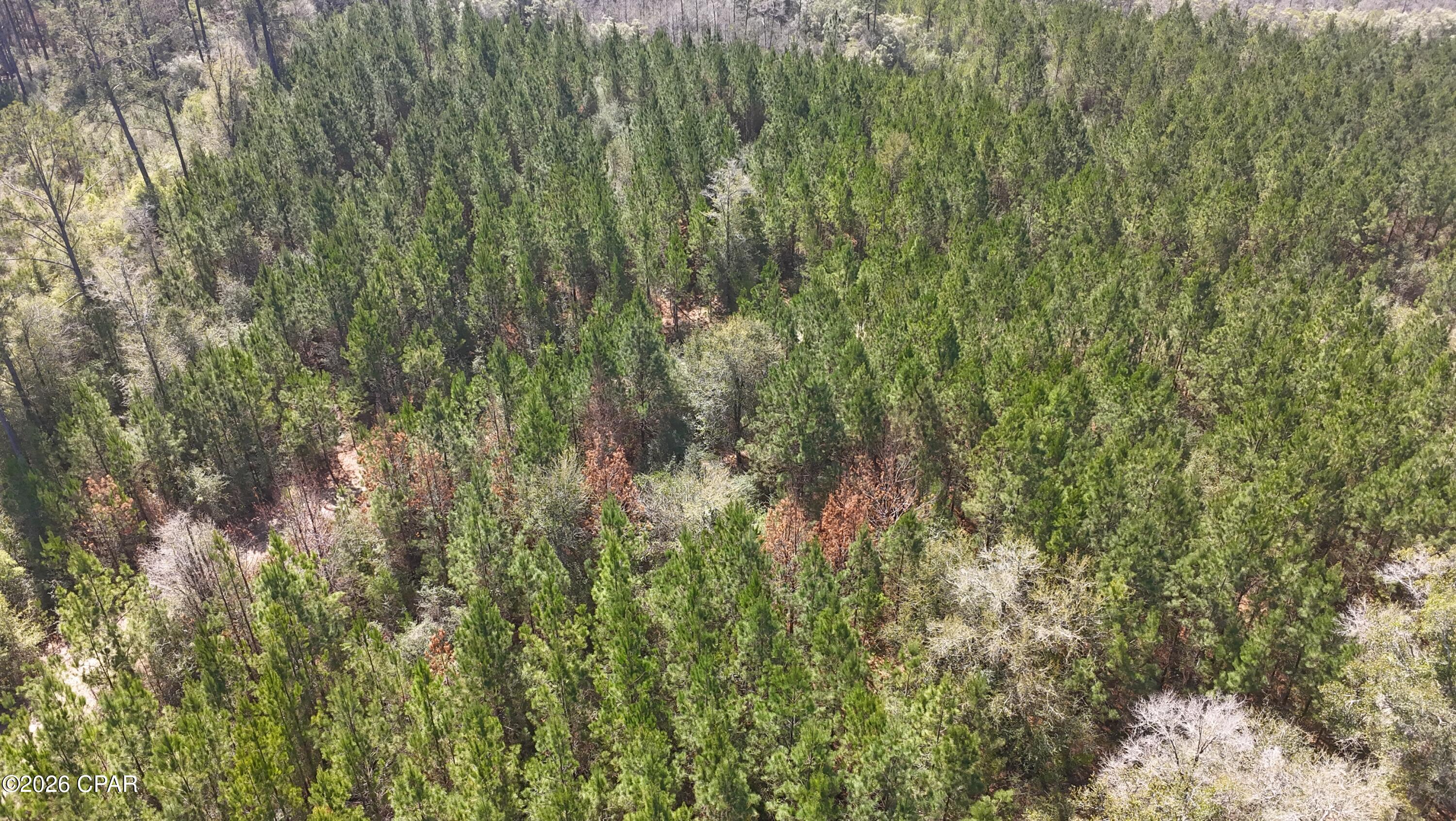 [No Recorded Subdiv] - Land