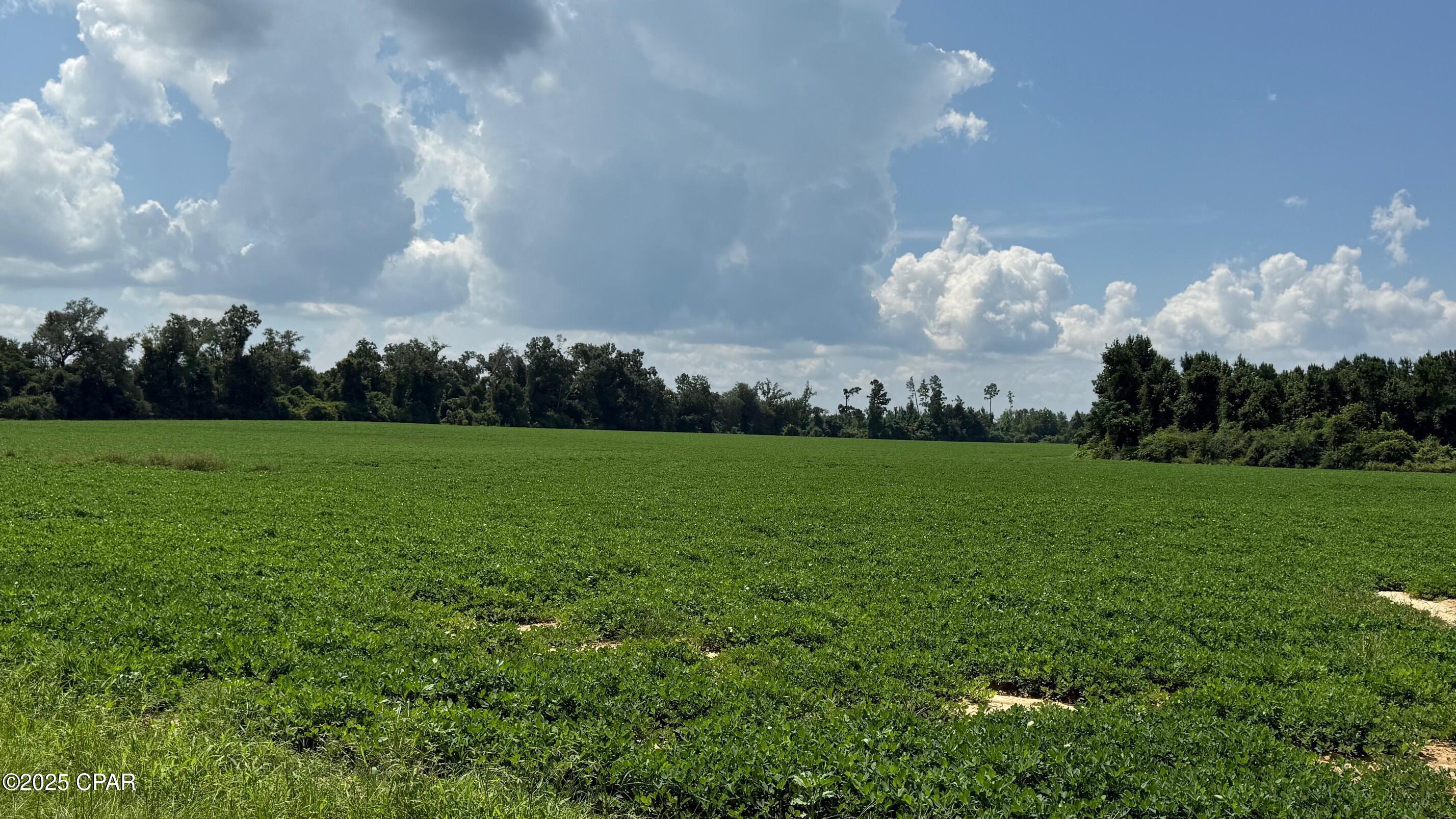 [No Recorded Subdiv] - Land