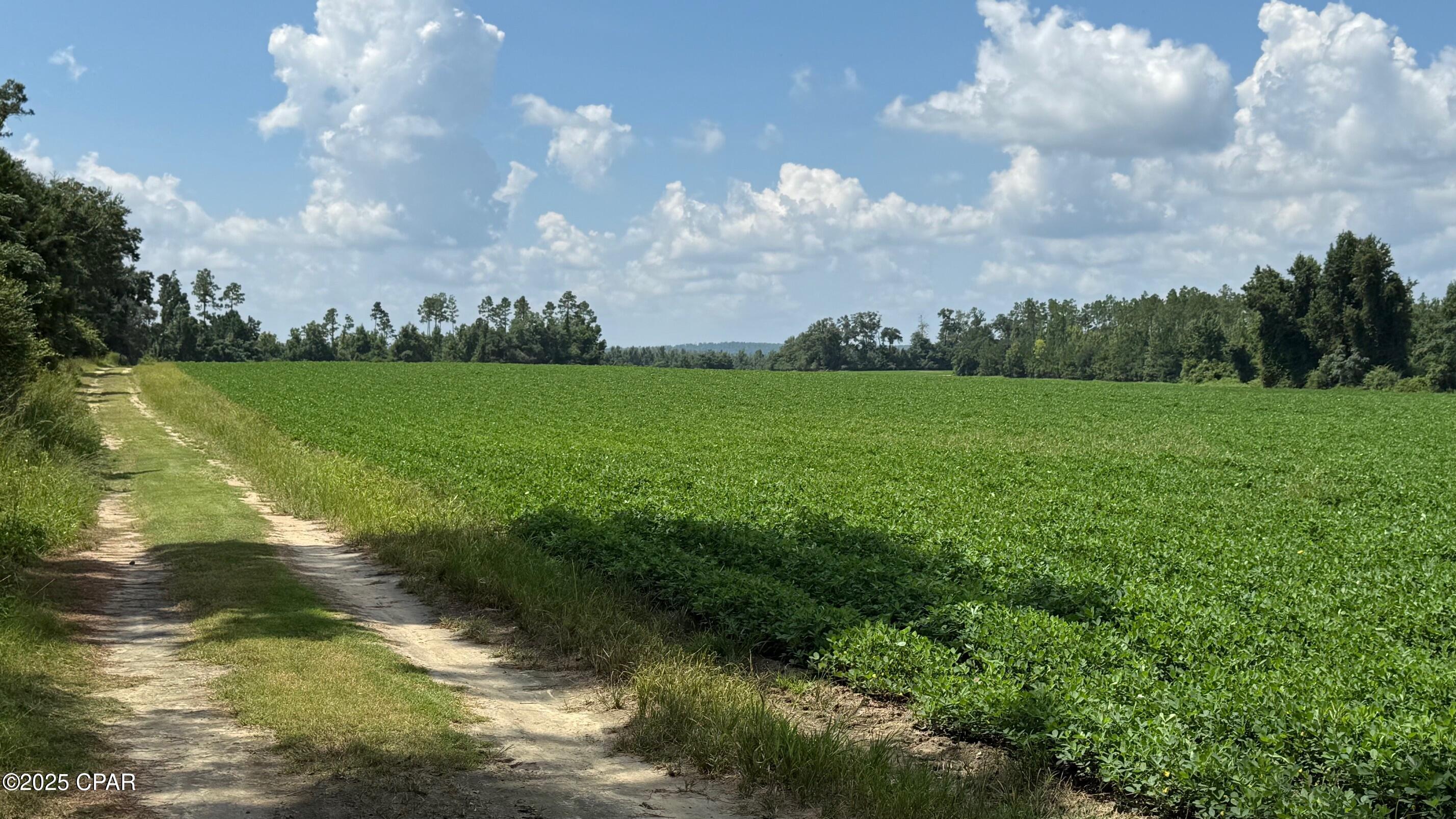 [No Recorded Subdiv] - Land