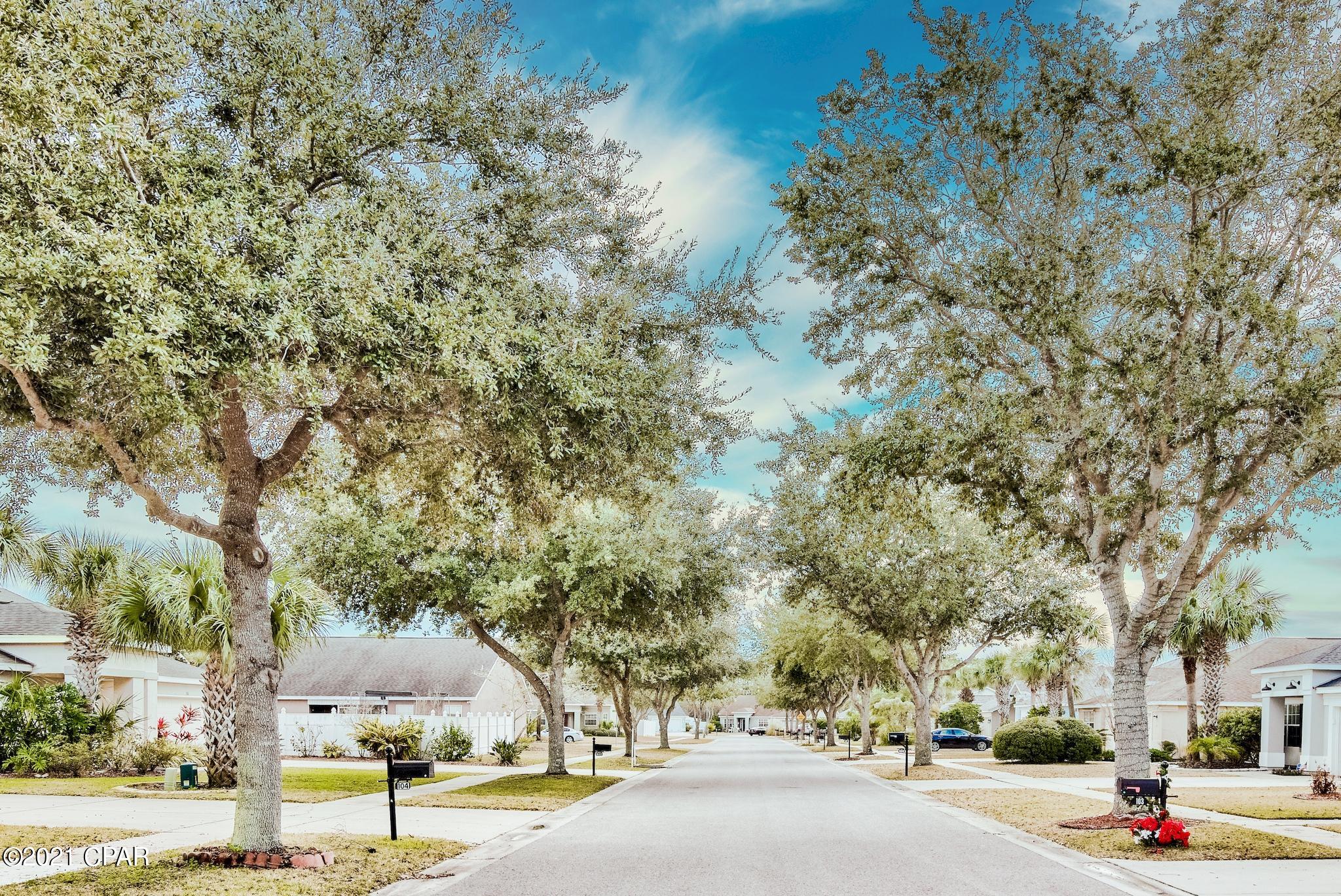 Palmetto Trace Phase 1 - Residential