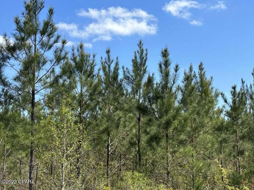 [No Recorded Subdiv] - Land