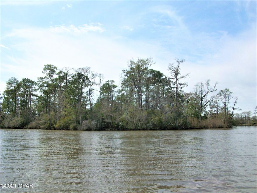 You don't get the chance for a private island retreat very often.  Here is a 51+ acre island with views of the river and the bay.  Schedule an appointment for your tour and let your dreams come true.

Access by boat only. County states that the property can be built on with a permit from the state Dept. of Environmental Protection. All information taken from Property Appraisers site and should be confirmed by buyer if important.