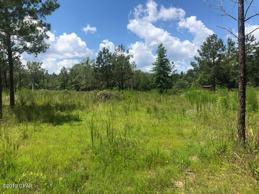 This 5 acre parcel has been partially cleared and is ready for your dream home! Paved road frontage, just minutes from Bonifay. Within hour of Worlds Most Beautiful Beaches and access to Northwest Fl Airport.  No mobile homes.