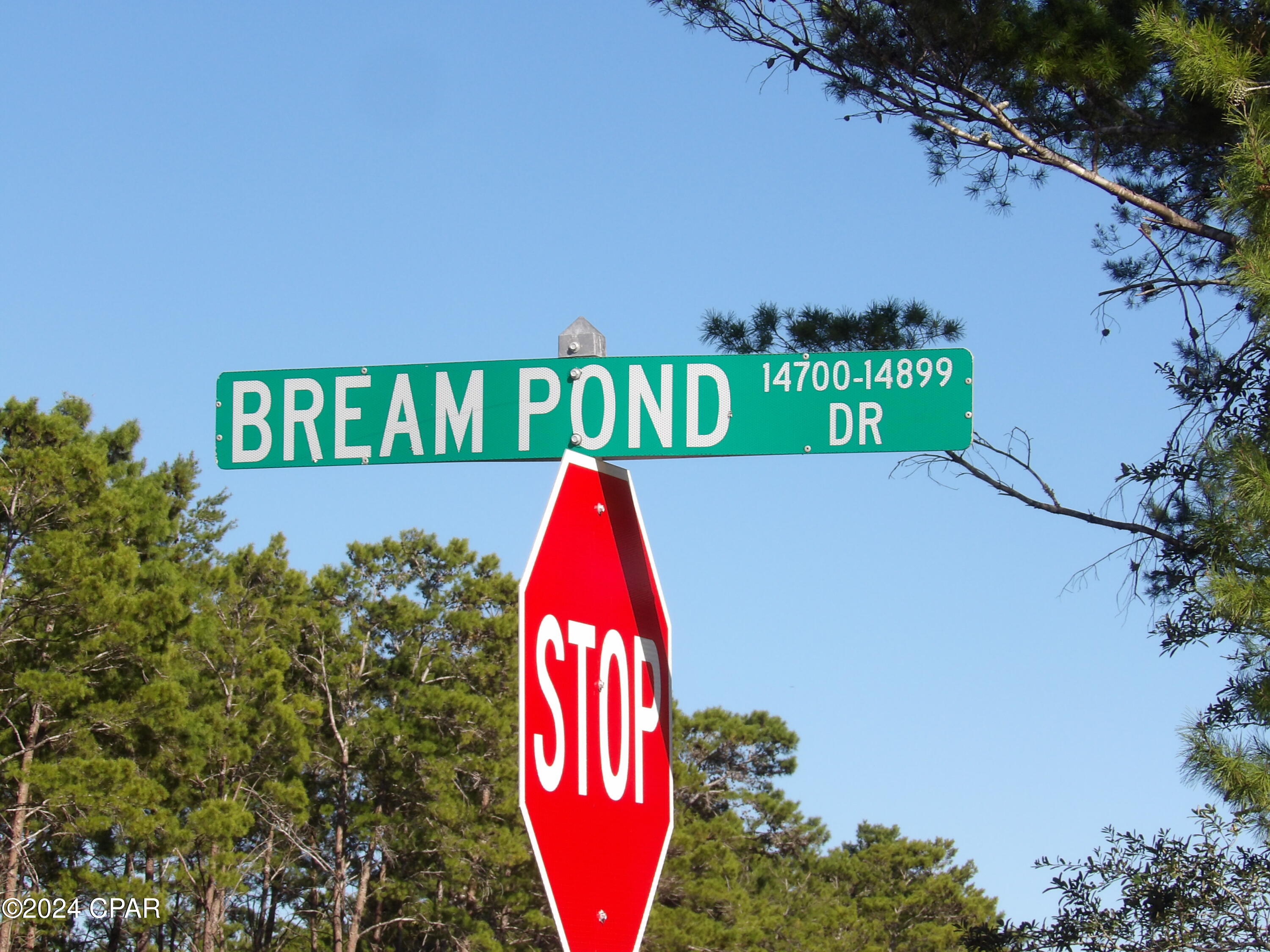 Bream Pond - Land