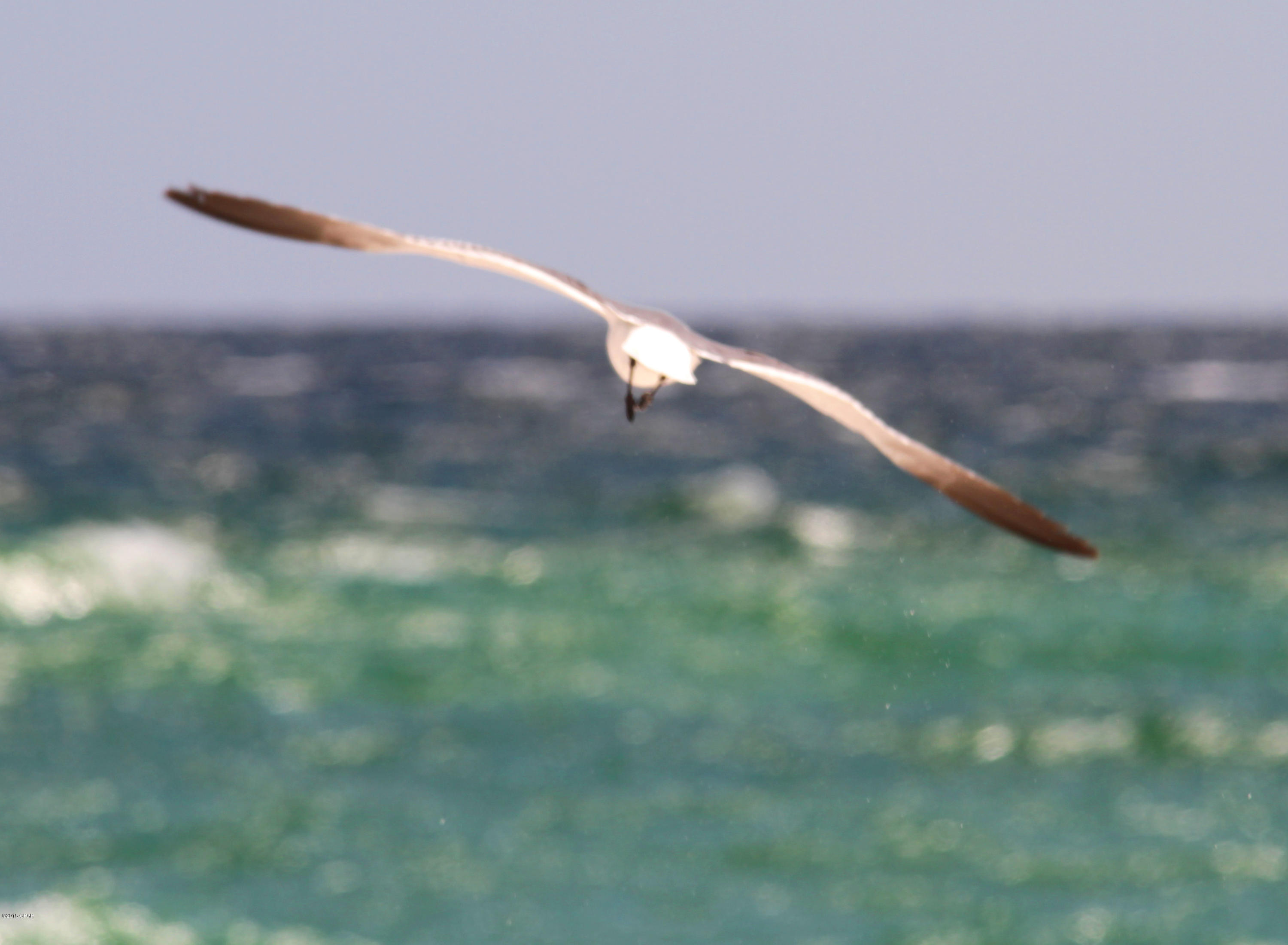 Splash Condo - Residential