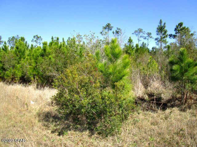 East Bay Point - Land