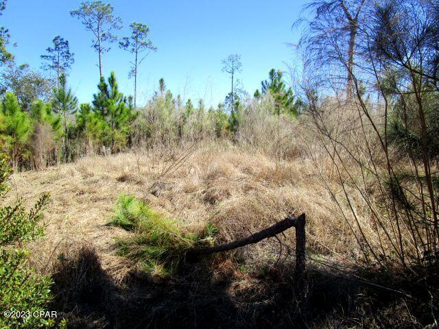 East Bay Point - Land