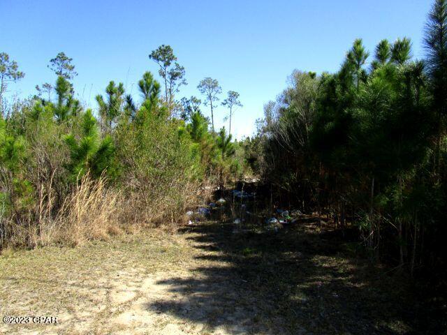 East Bay Point - Land