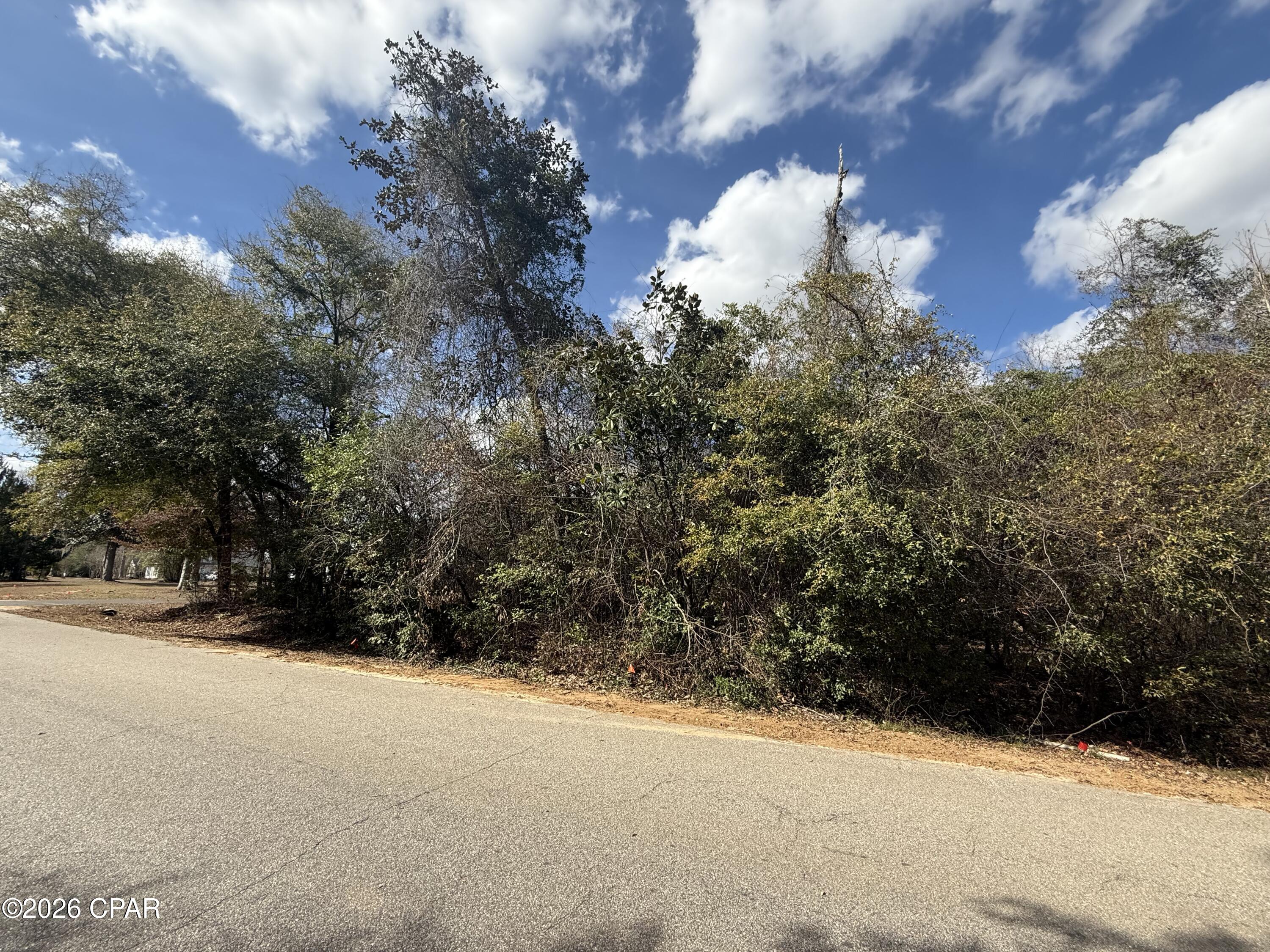 Indian Springs - Land