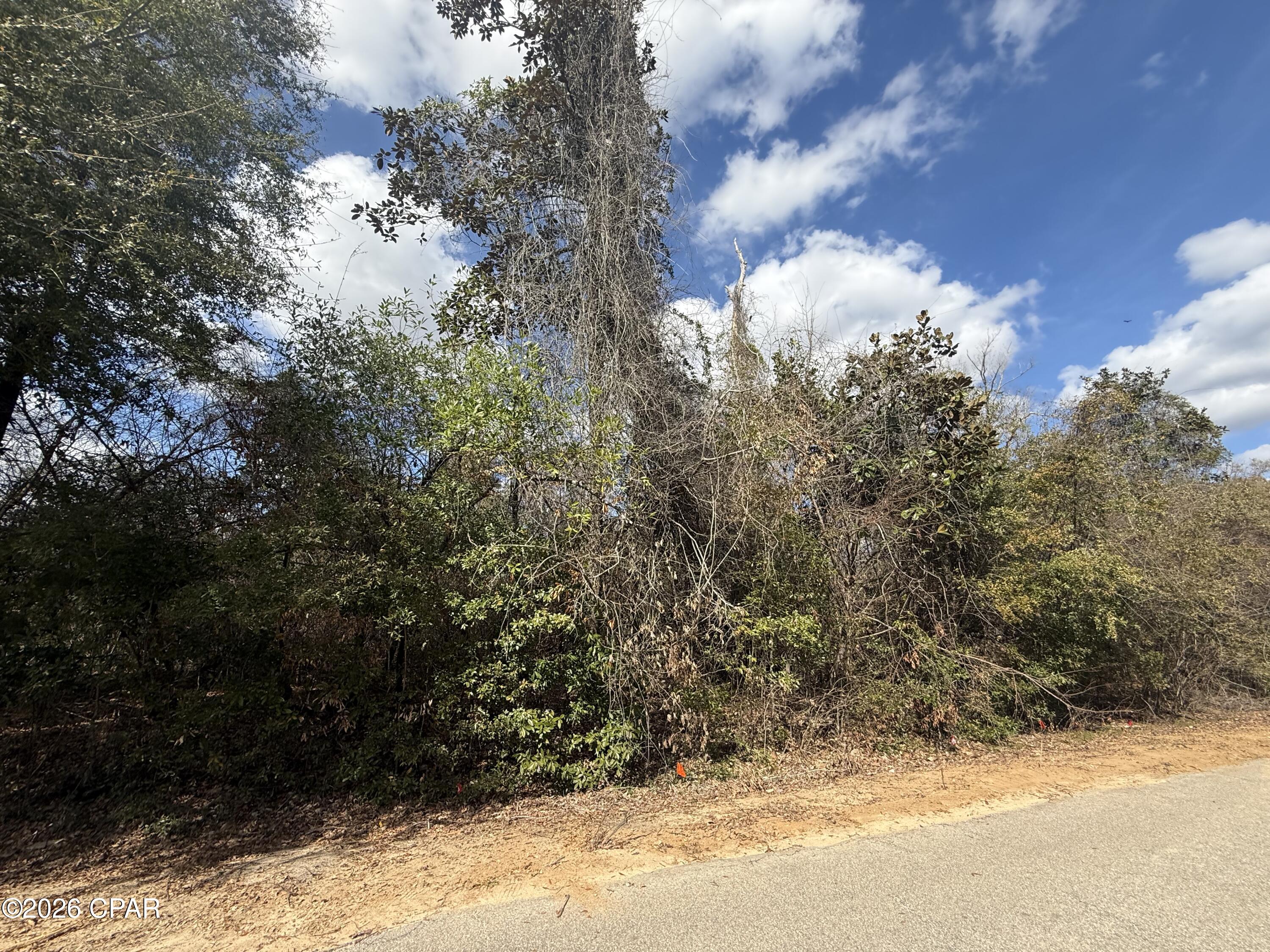 Indian Springs - Land