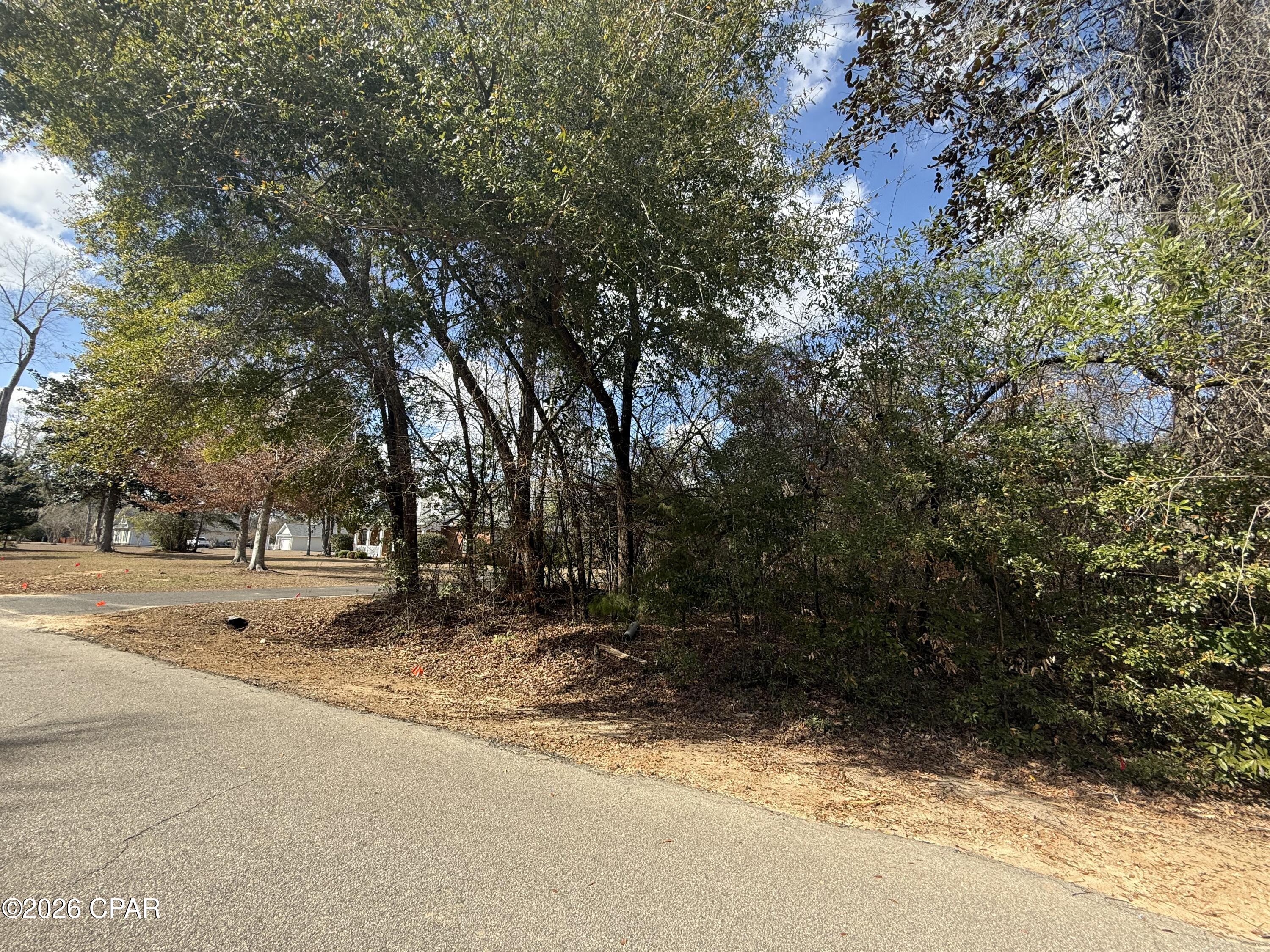 Indian Springs - Land