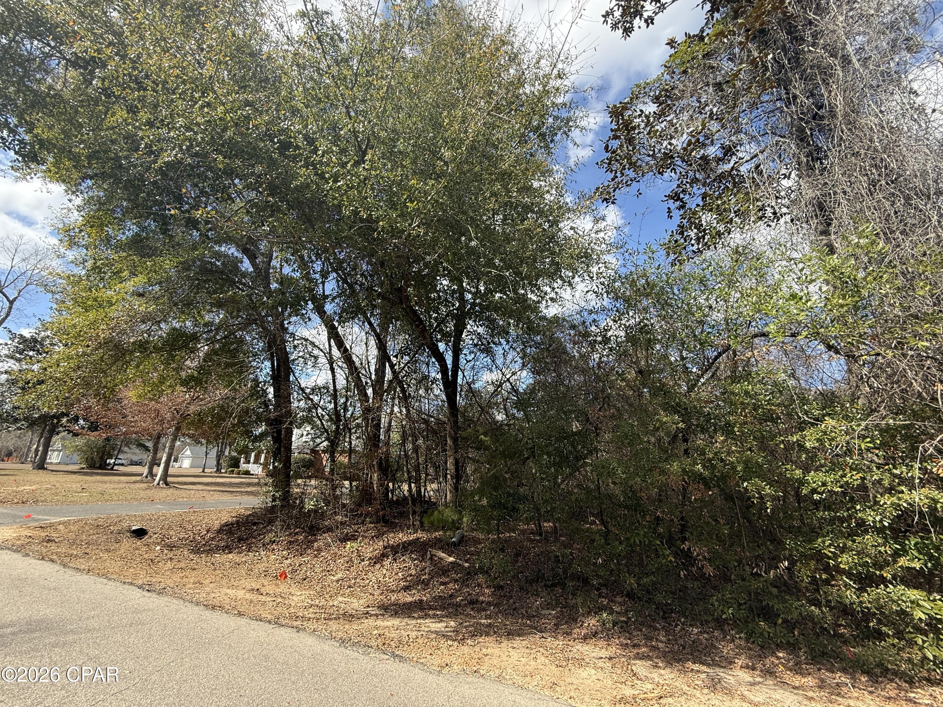 Indian Springs - Land