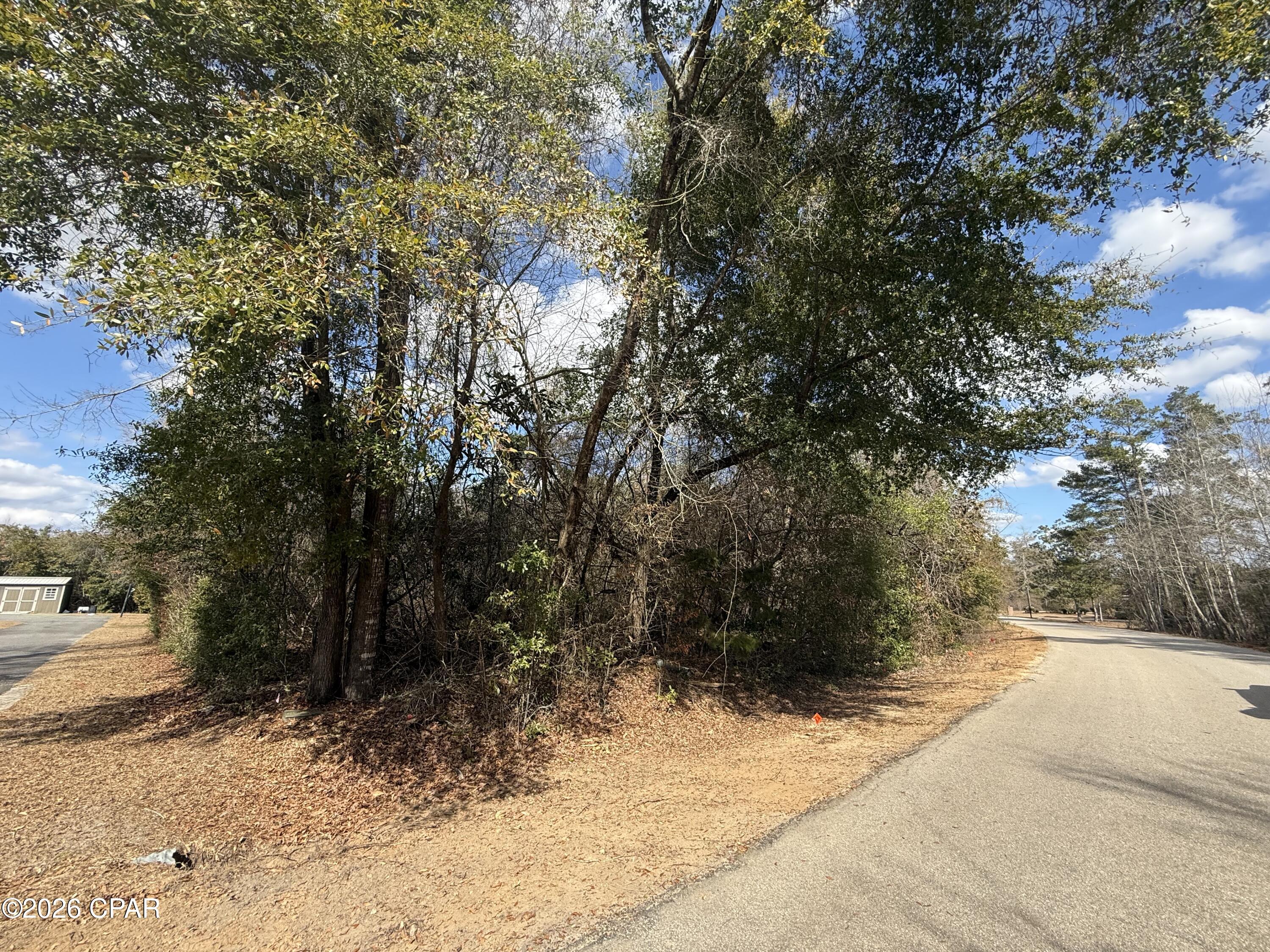 Indian Springs - Land