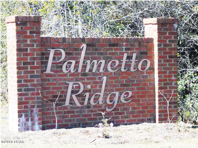 Palmetto Ridge - Residential
