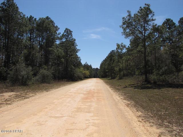 Compass Lake In The Hills - Land