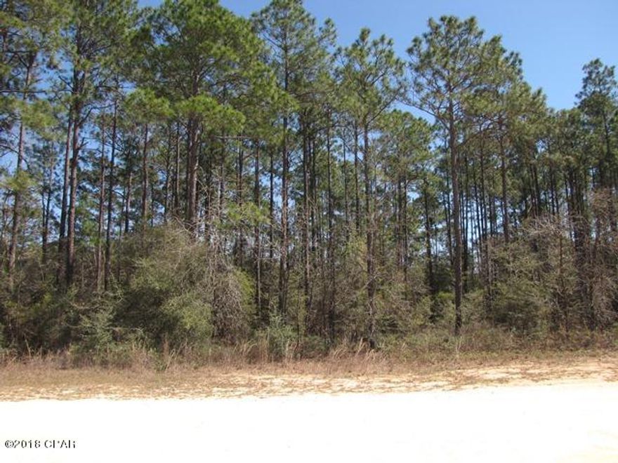 BIG LOT approx 1.35 acre just 1/4 mile off paved Southern Blvd in the Compass Lake in the Hills development in NorthWest Florida. Lot appears to be Level and Dry. Conveniently located about 15 minutes South of Interstate 10 at Marianna, and about 40 minutes North of Panama City for Shopping, Restaurants, Entertainment, and Beautiful Gulf Beaches. Modular or Site Built Homes only, no Mobile Homes allowed in this area of development. As an owner in this development you have access to Private McCormick Lake for Swimming, Fishing, Canoeing, Kayaking, etc as well as the Main Lodge on Compass Lake with Swimming Pool, Tennis Courts, Horseback Riding, etc. Come enjoy the Quiet Peaceful Lifestyle of Compass Lake in the Hills today.