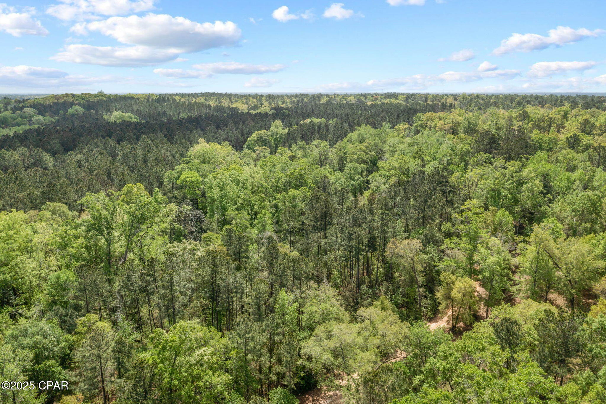 Spring Lakes Estates - Land