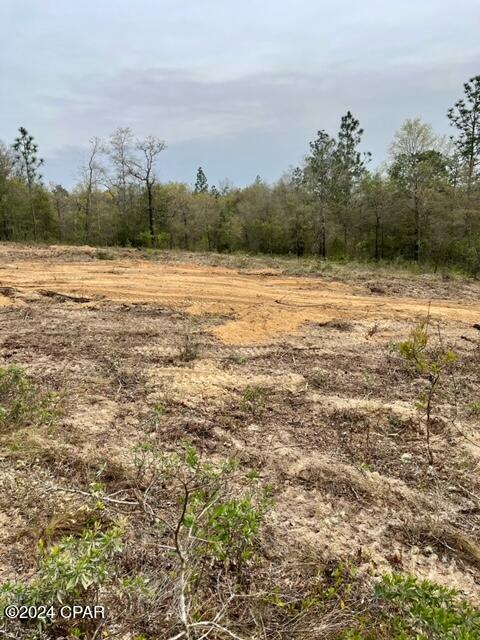 Sunny Hills Unit 7 - Land