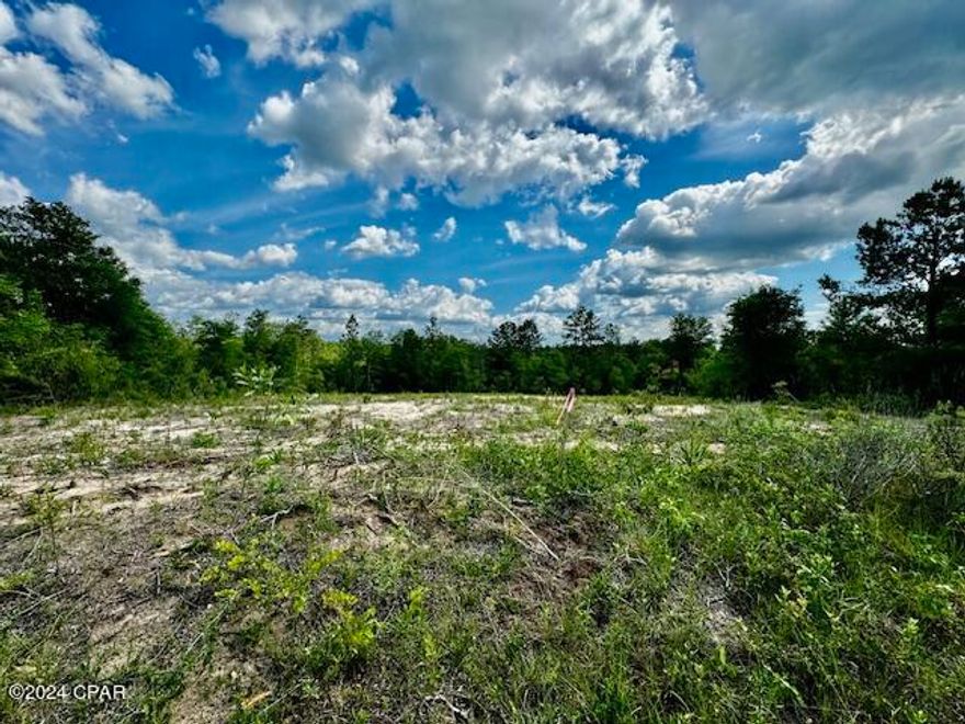 Discover the perfect setting for your dream home on this oversized 1.37-acre residential lot in Sunny Hills, backing up to dedicated green space. Conveniently located near Northwest Florida Beaches International Airport, Sunny Hills public golf course, and numerous lakes with boat ramps, this partially cleared, surveyed lot is ready for construction. While electric service is available, a well and septic tank are needed. Enjoy privacy, nature, and convenience in one exceptional property.  Buyer is to pay owner's title policy, doc stamps on deed, title company closing fee.