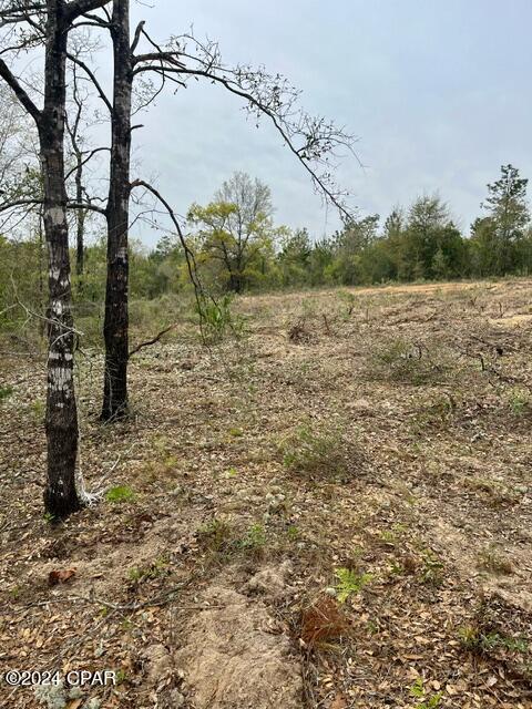 Sunny Hills Unit 7 - Land