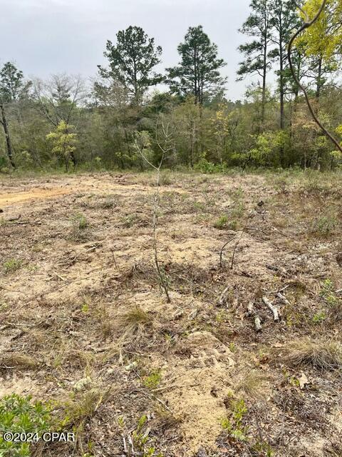 Sunny Hills Unit 7 - Land